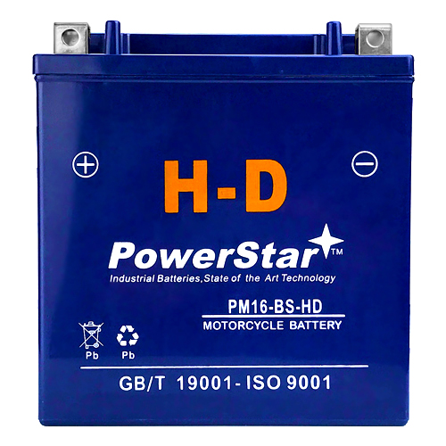 16-BS PowerStar HD SLA AGM Battery 1