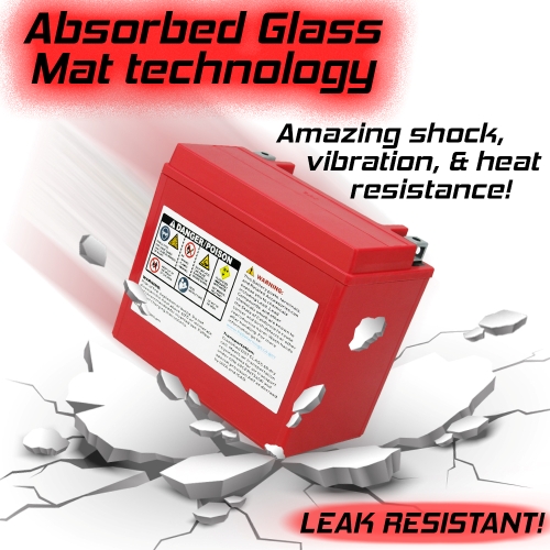 Banshee AGM YTX20L-BS ATV Motorcycle Harley Battery YTX20LBS-4 YR Warranty 3