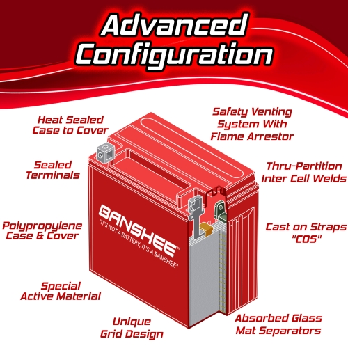 Banshee AGM YTX20L-BS ATV Motorcycle Harley Battery YTX20LBS-4 YR Warranty 5