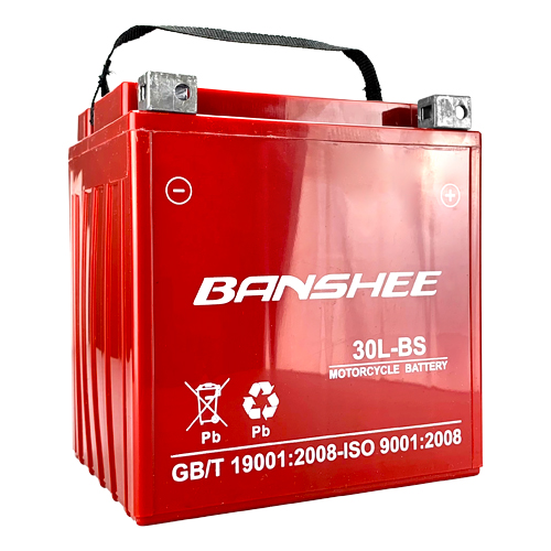 YTX30L-BS Sealed Lead-Acid AGM Motorcycle Battery