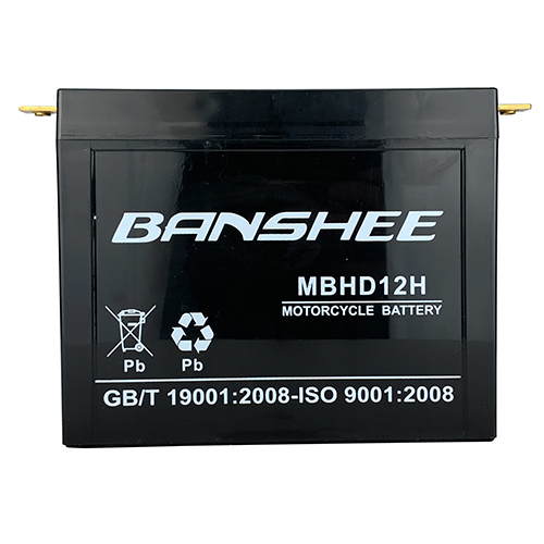 Banshee Replacement for  Yuasa Battery, YUAM22H12 (YHD-12H)